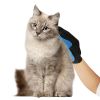 HG_PetsGroomingGlove(Blue)_GPCT1079